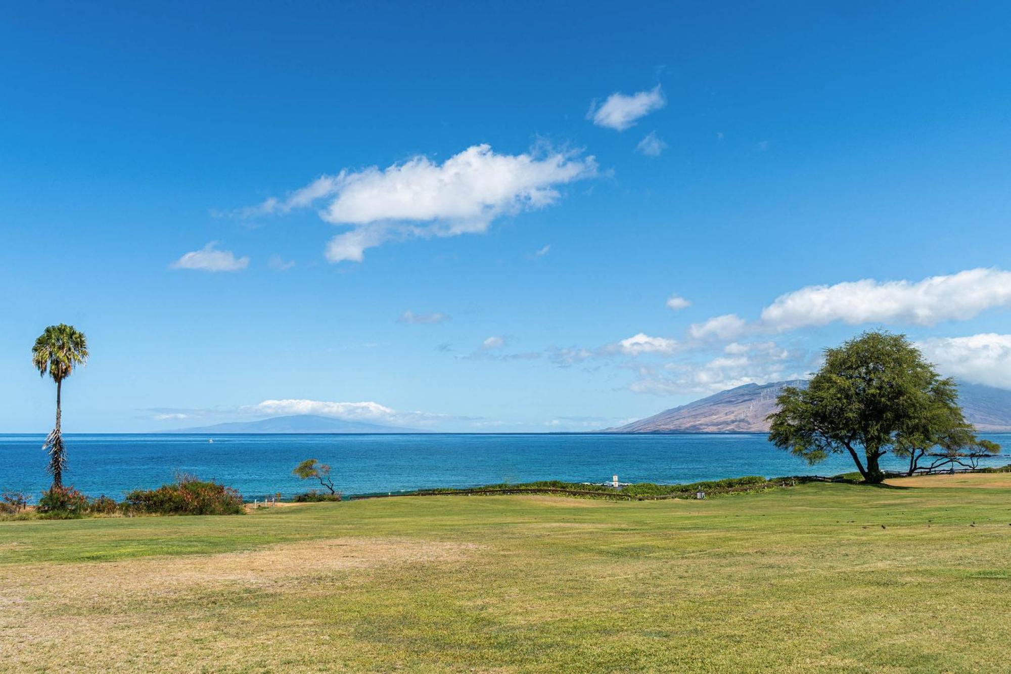 Maui Kamaole H-101 Lägenhet Wailea  Exteriör bild
