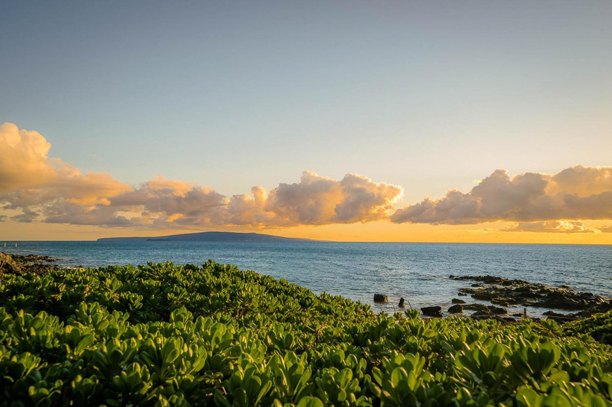 Maui Kamaole H-101 Lägenhet Wailea  Exteriör bild