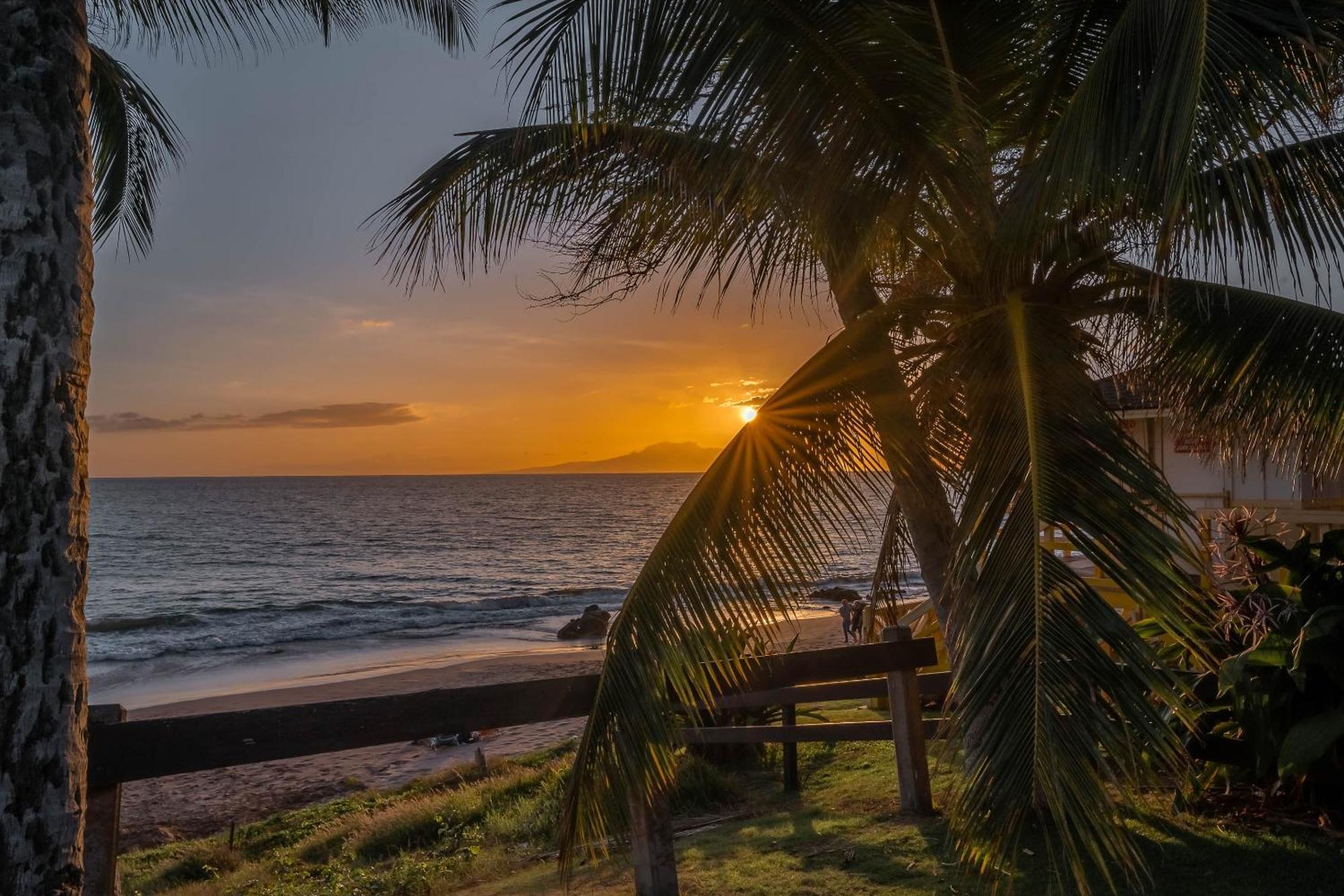 Maui Kamaole H-101 Lägenhet Wailea  Exteriör bild